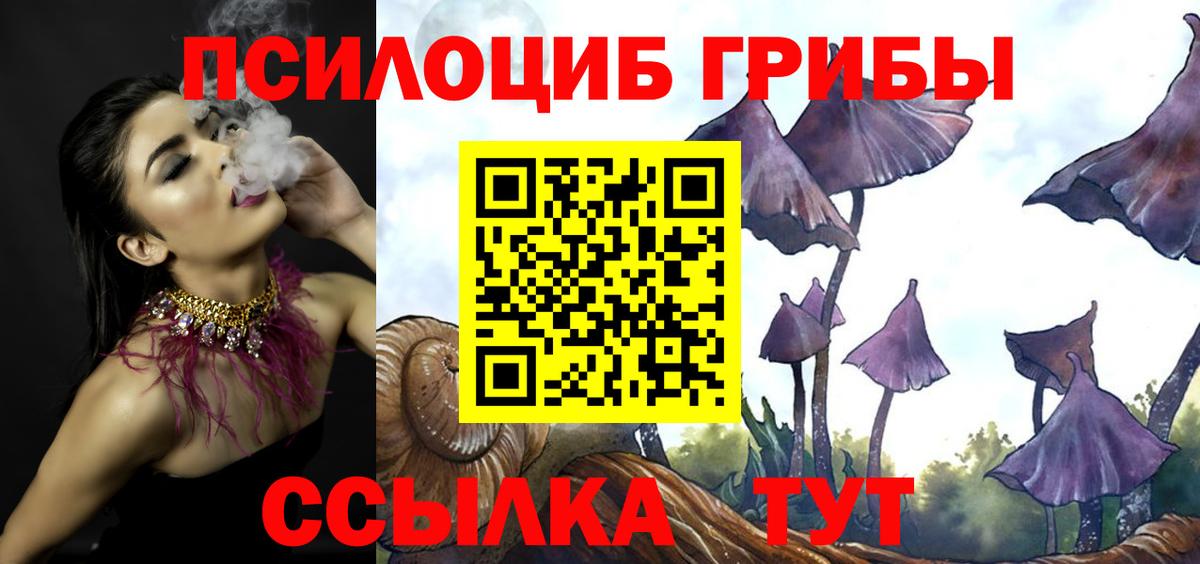 Псилоцибиновые грибы Magic Shrooms  Вход с VPN  Кемерово 